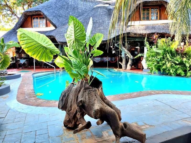 Dei Gratia Guest House Musina Dış mekan fotoğraf