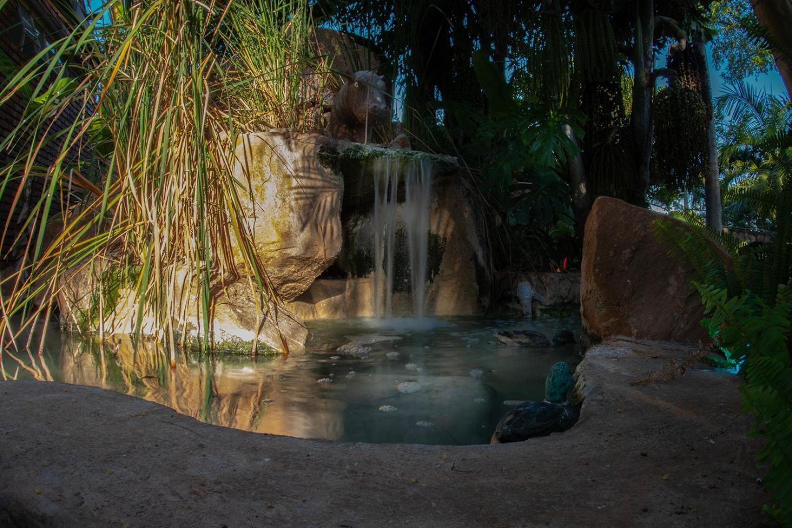 Dei Gratia Guest House Musina Dış mekan fotoğraf