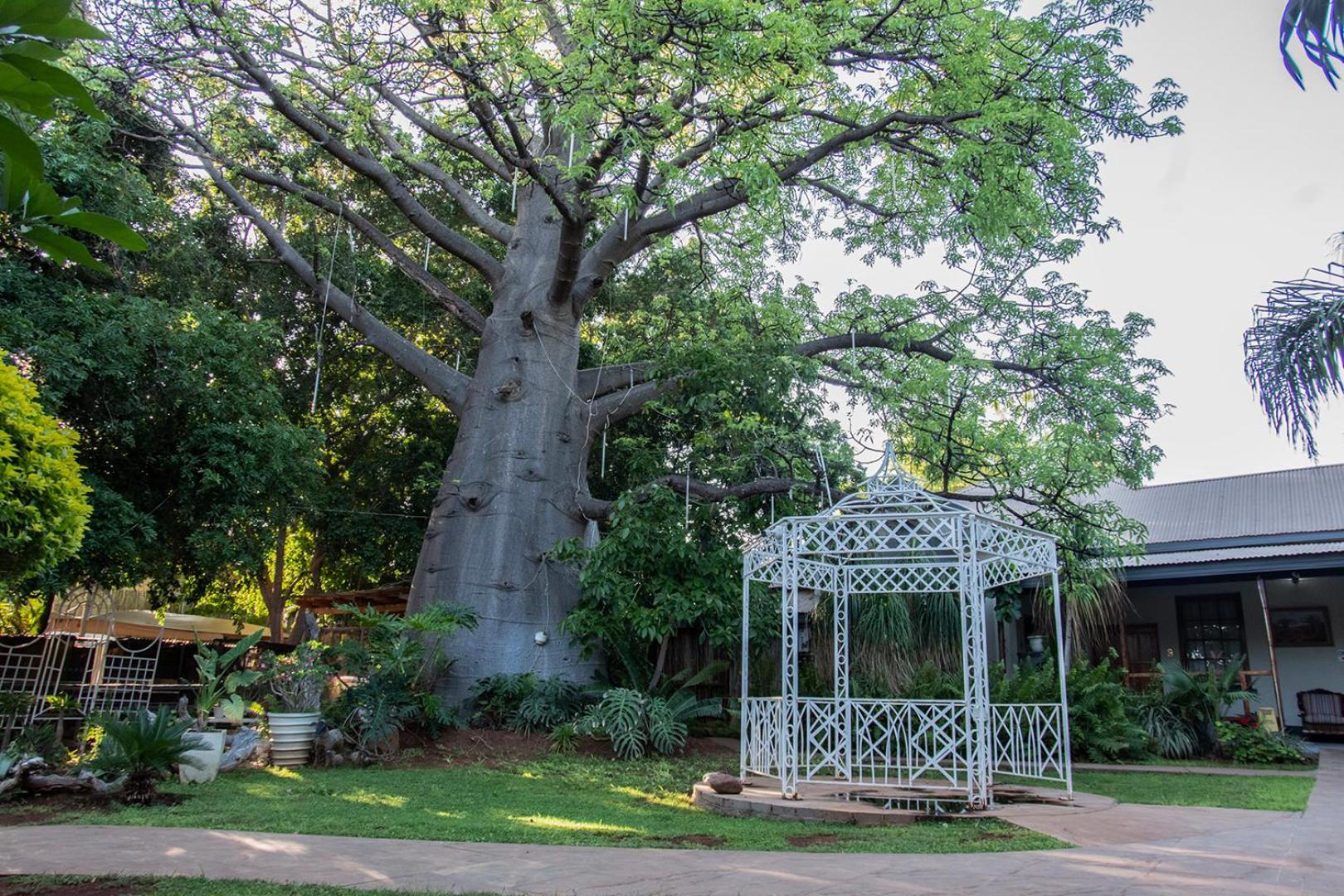 Dei Gratia Guest House Musina Dış mekan fotoğraf